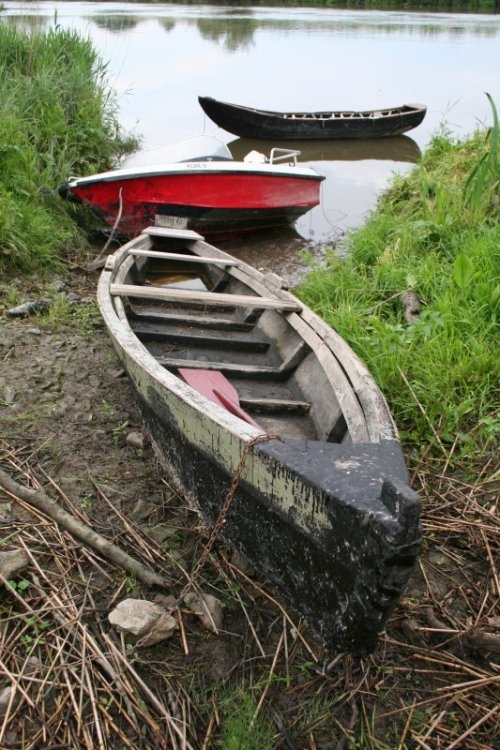 A cot and other boats at Camphire Bridge