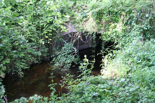 Downstream side of the bridge